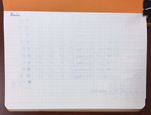 Rhodia Webnotebook Ink Test Page Back
