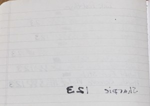 Baron Fig School Set Ink Test Back