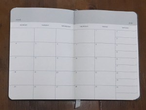 Baron Fig Planner Month View