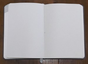 Baron Fig Planner Notes Section