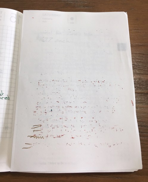 Hobonichi Techo extra sheet