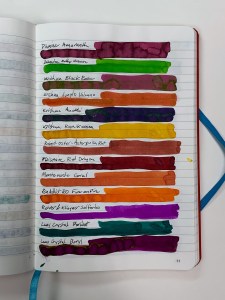 Endless Recorder Notebook Swabs 5