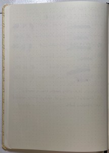 Dingbats* Writing Sample back page