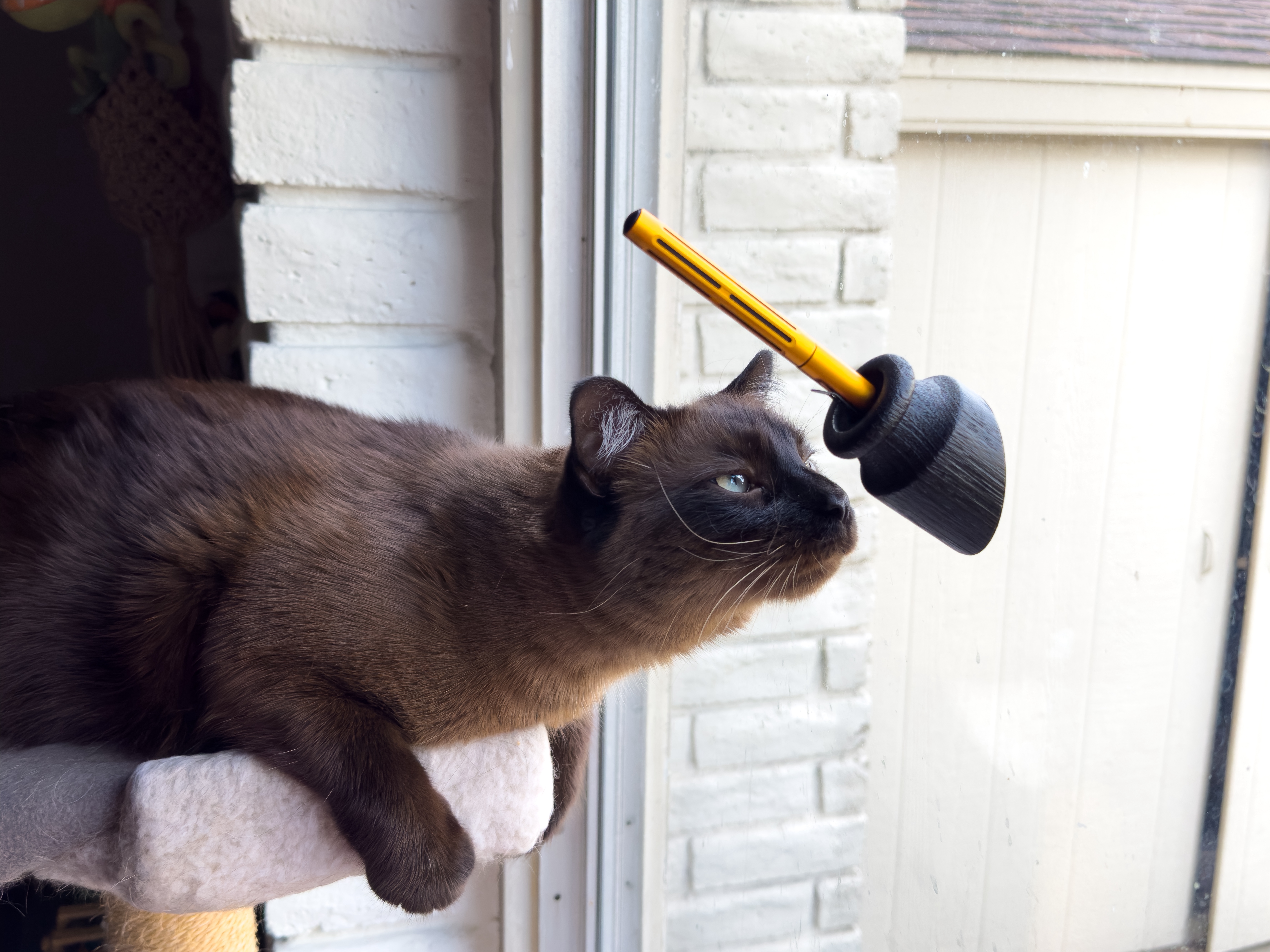 Penwell Classic with Pippin 2