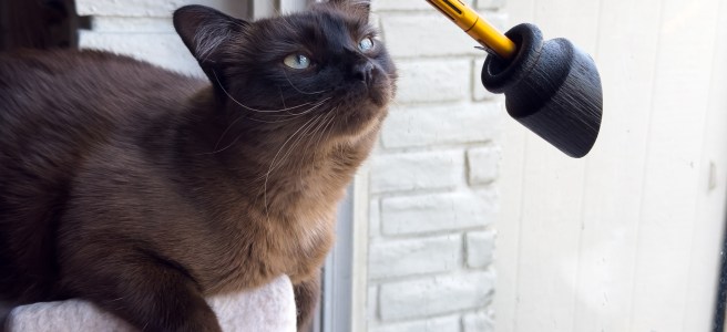 Penwell Classic with Pippin 1