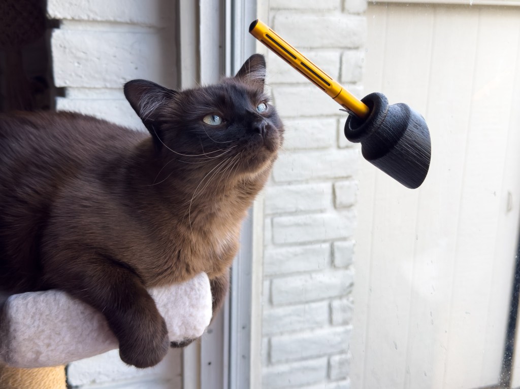 Penwell Classic with Pippin 1