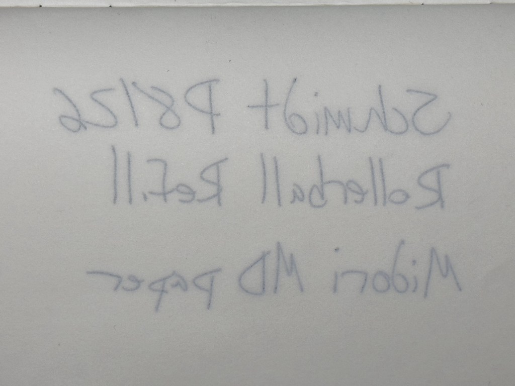 Schmidt Rollerball on Midori paper back